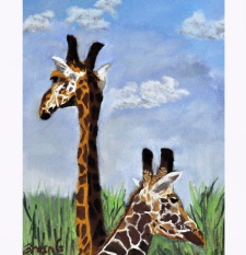 Giraffes