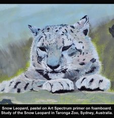 Snow_Leopard